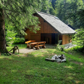 Koča v gozdu Bled